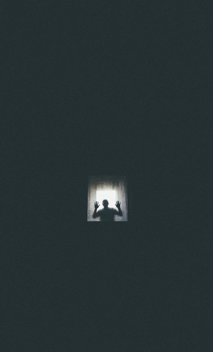 Eerie silhouette of a person against a window, conveying themes of isolation and entrapment.